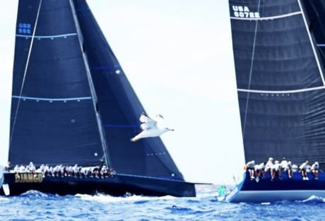 maxi rolex cup porto cervo