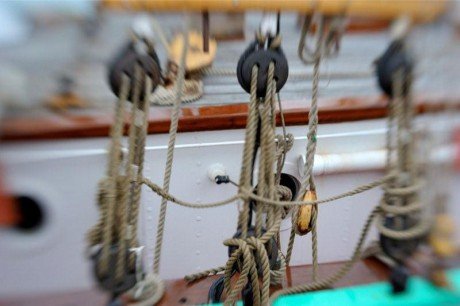 garibaldi tall ship regatta ph s veneziano