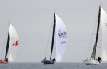 swan 50 alghero (4)